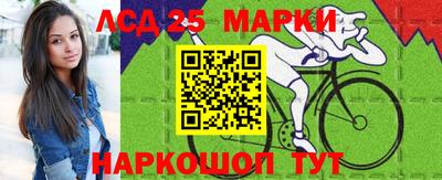 гидра Ставрополь