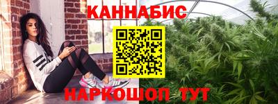 гидра Ставрополь