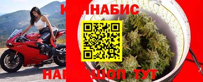 гидра Ставрополь