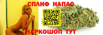 гидра Ставрополь