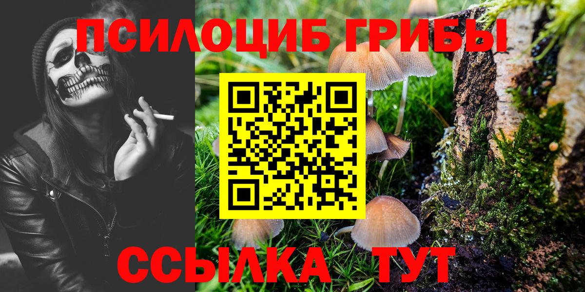 Галлюциногенные грибы Cubensis Наро-Фоминск